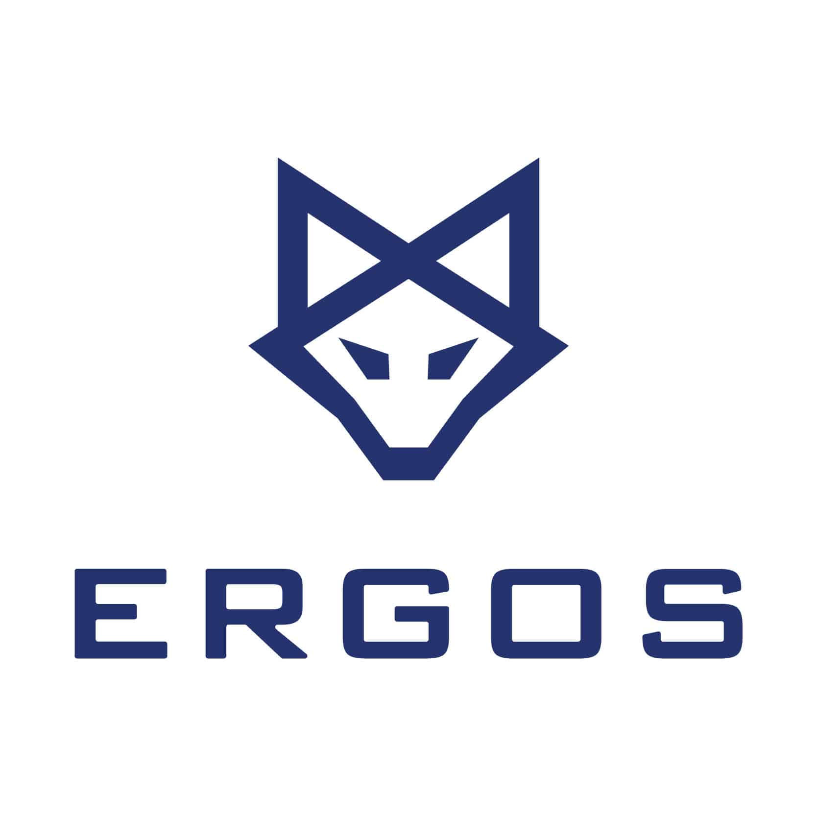 Managed Services Provider ERGOS Technology Partners