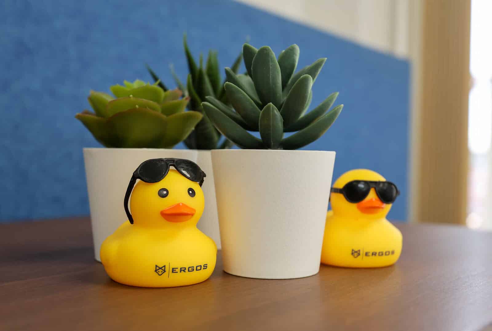 The ERGOS ducks representing the expert team at the managed service providers UK