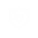 8-img